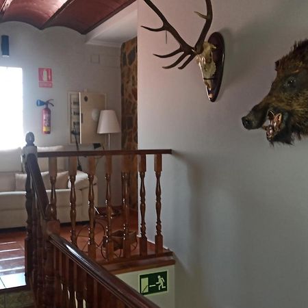 Castillo De Luna 阿尔伯克基 外观 照片
